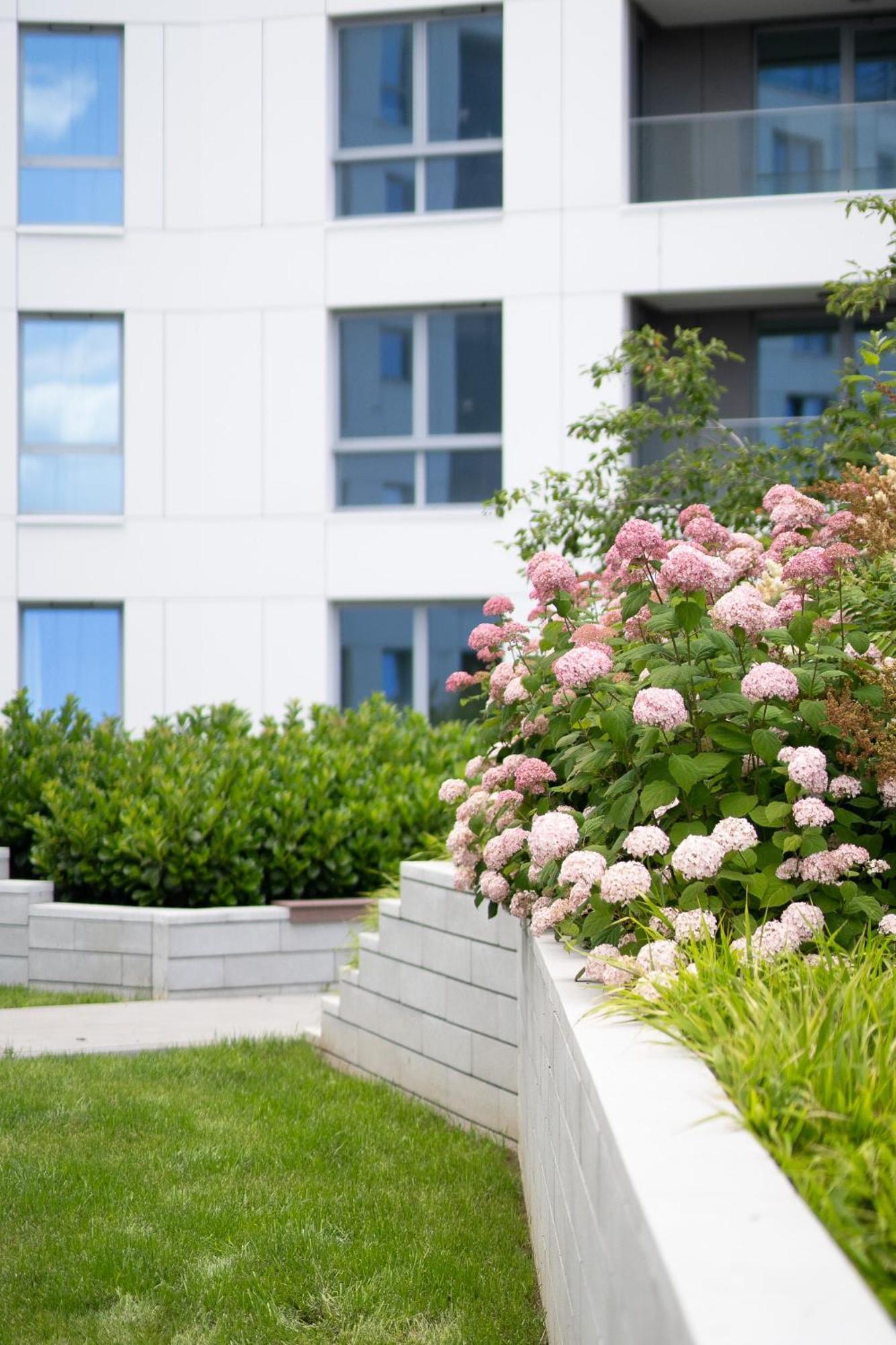 Apartment New! Baltic Sands Premium - Free Parking Gdynia